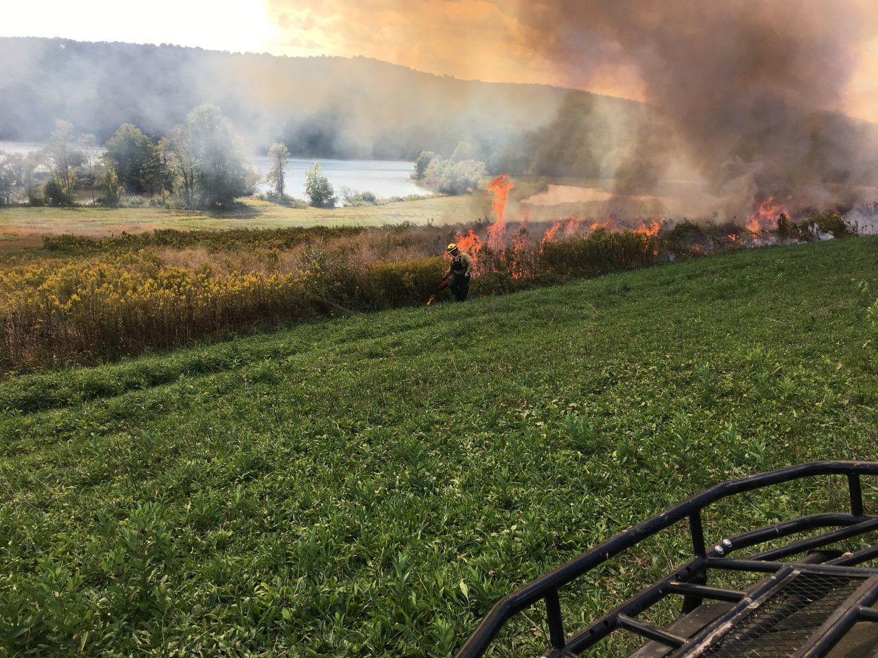 Controlled burn 3